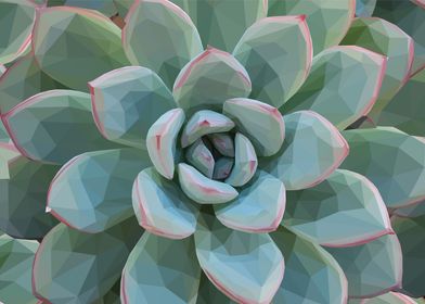 Low Poly Green Succulent