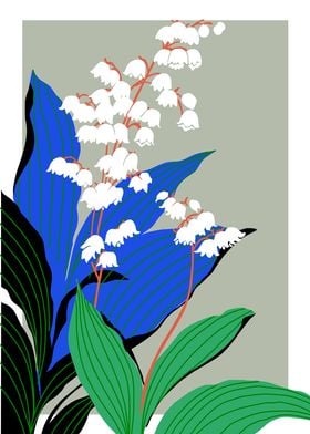 Bold Flower Lily of the va
