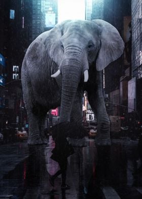 Giant Elephant in street