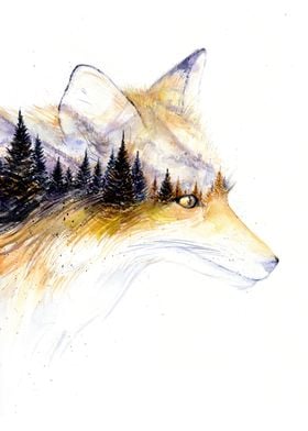 Little Fox Portrait