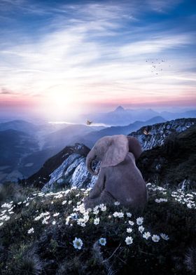 Baby Elephant in Mountains