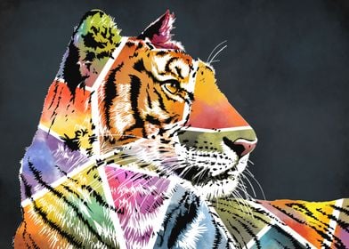 tiger