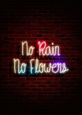 no rain no flowers