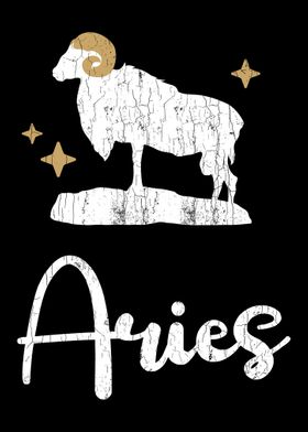 Aries Clothing For Men And