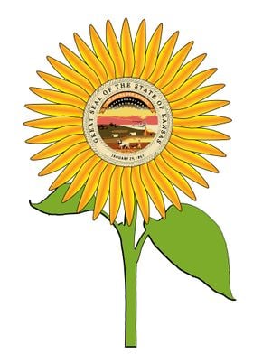 Kansas State Sunflower