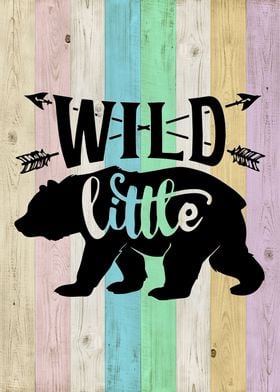 wild little bear