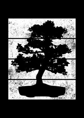 Bonsai Vintage