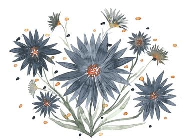 Dark daisies