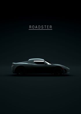 2011 Roadster Sport