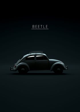 1963 Beetle