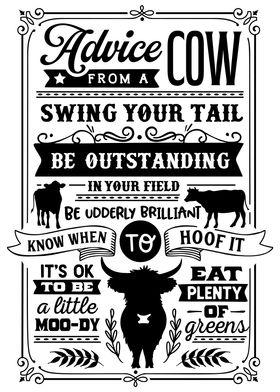 Advice From A Cow White