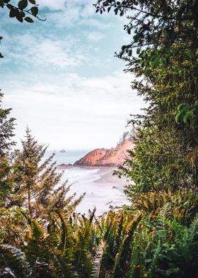 Oregon Coast Ocean Views