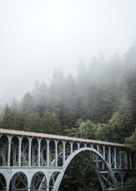 Oregon Coast Foggy Bridge