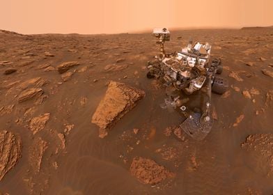 Curiosity Selfie 2018