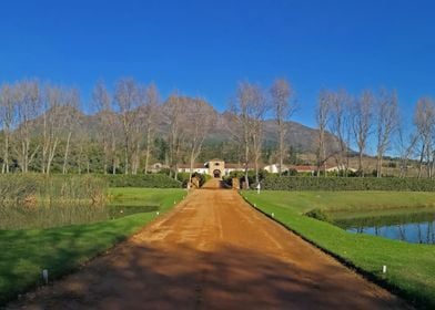 South African Wine Estate