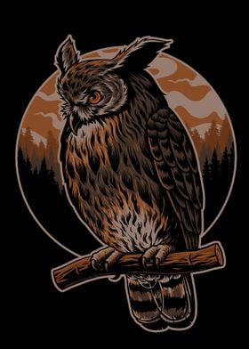 Owl Illustration