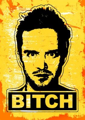 Bitch Jesse Pinkman