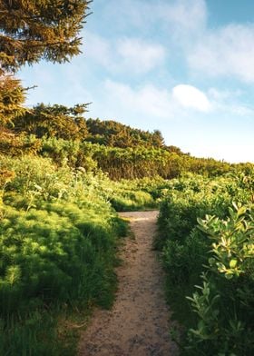 Path to the Beach PNW