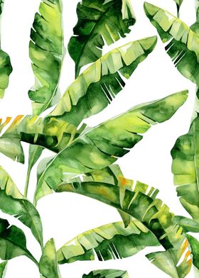 Watercolor Tropical Pat 10