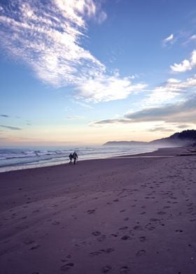 Beach Walks at Sunrise PNW