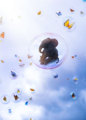 Baby Elephant in Bubble