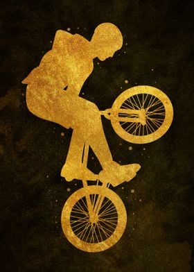 Bmx bike