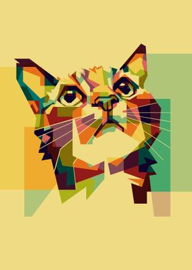 Colorful cat hope