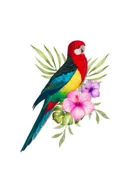 Parrot tropical Bird art