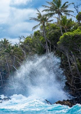 Black Sand Beach Hawaii