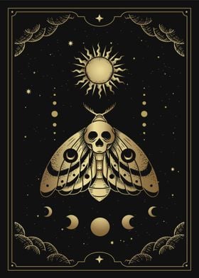 Death moth tarot card