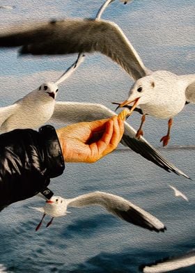 Feeding Seagull