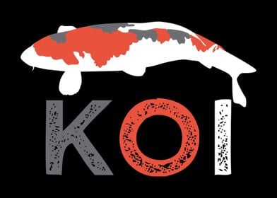 Koi Fish Breeder Carp