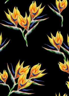 Black Watercolor Trop 04