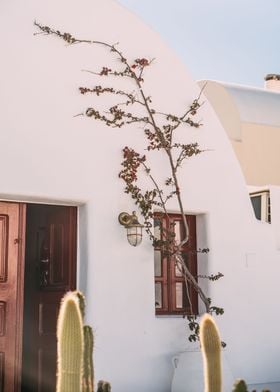 White Greek Minimal House