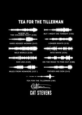 Cat Stevens