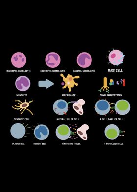 Biology Microbiology Scien