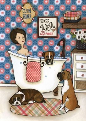 Boxer Wash