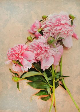 Vintage peony bouquet