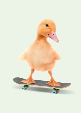 Skateboarding Duck