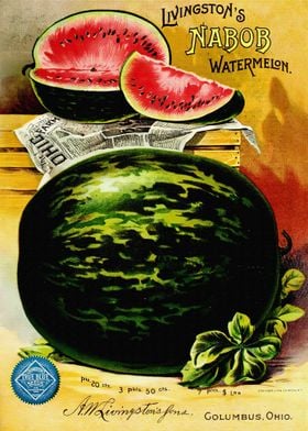 Watermelon Retro