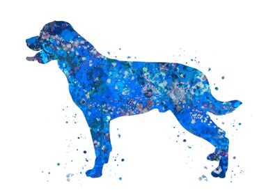 Rottweiler dog blue art