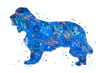 Cocker spaniel blue art