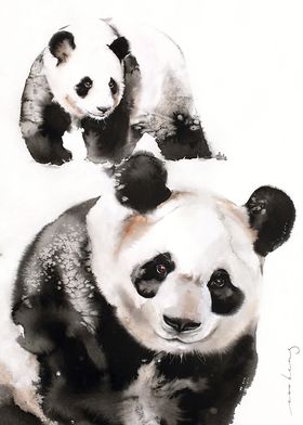 Panda Pair