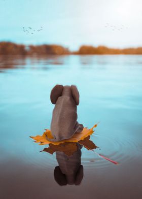 Baby Elephant on a Leaf