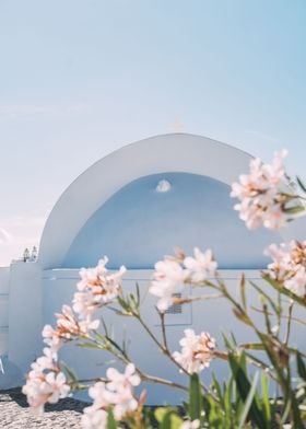 White Flowers Architecture