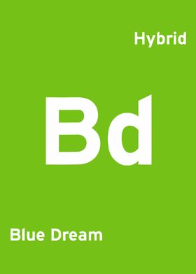 BD Hybrid Weed blue dream