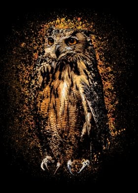 Wild Owl