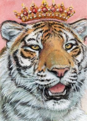 Crowned Tiger 1031