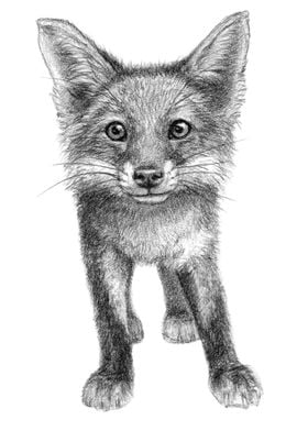 Cute Fox Cub G21 022