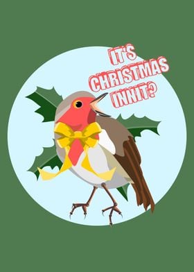 Funny Christmas Robin